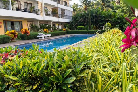 Poolside gardens